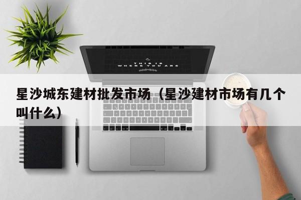 星沙城东建材批发市场（星沙建材市场有几个叫什么）